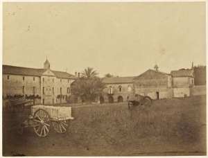 Établissement des trapistes, le palmier historique à Staoueli (Photo rare)