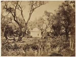 Bois sacré près Blidah (Photo rare)