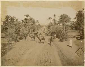 [Route près d'El Kantara?] (Photo rare)