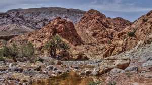 Lac de Aïn Ouarka... !