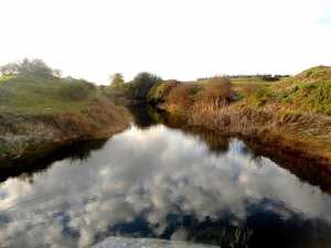 la zone humide de Guerbes Sanhadja