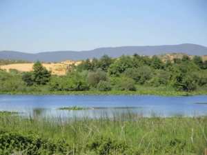 la zone humide de Guerbes Sanhadja