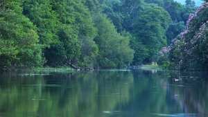 la zone humide de Guerbes Sanhadja