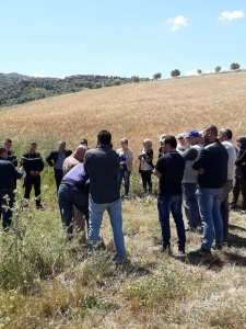 Sensibilisation contre les risques des incendies de récolte des céréales