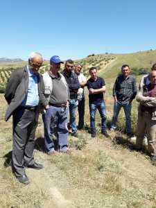 Sensibilisation contre les risques des incendies de récolte des céréales