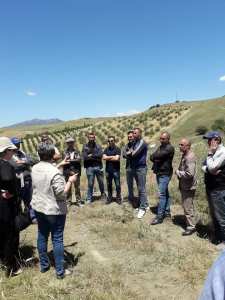 Sensibilisation contre les risques des incendies de récolte des céréales