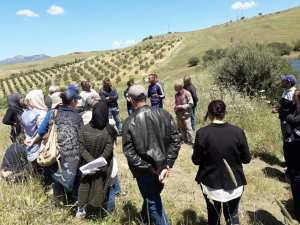 Sensibilisation contre les risques des incendies de récolte des céréales