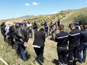 Sensibilisation contre les risques des incendies de récolte des céréales