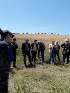 Sensibilisation contre les risques des incendies de récolte des céréales