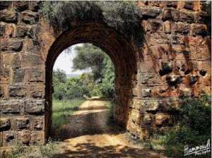 Aqueduc de Oued El-Bellaa... !