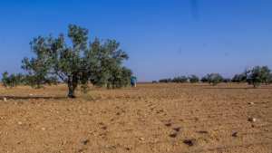 #Bande_verte_Ouargla  !