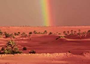 #Bande_verte_Ouargla  !