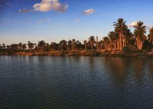 #Bande_verte_Ouargla  !