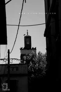 Derb à Trég Ettout (Allée des muriers) Tlemcen