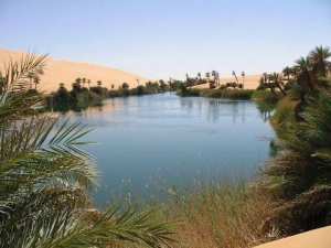 Une Oasis méconnue...!