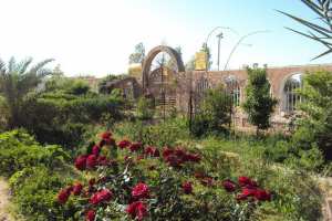 Une Oasis méconnue...!