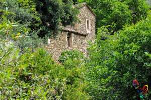 Ancien village kabyle... abandonné