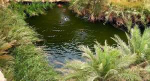 La Légende sur la création d’In Salah.... !