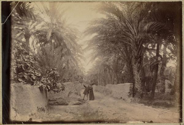 Environ[s] de Biskra (Photo rare)