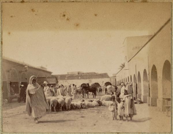 [Biskra] (Photo rare)