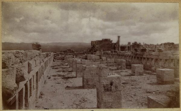 Écuries. Ensemble des Anges [Tebessa] (Photo rare)