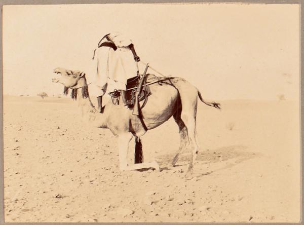 [Méhariste et son chameau] (Photo rare)