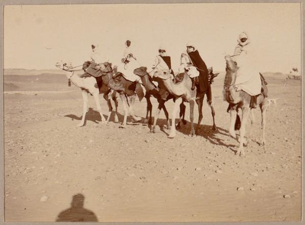 [Méharistes de la mission Flamand-Pein?] (Photo rare)