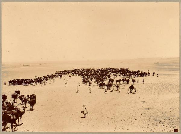 Dans le Reg [Mission Flamand, colonne du Tidikelt?] (Photo rare)