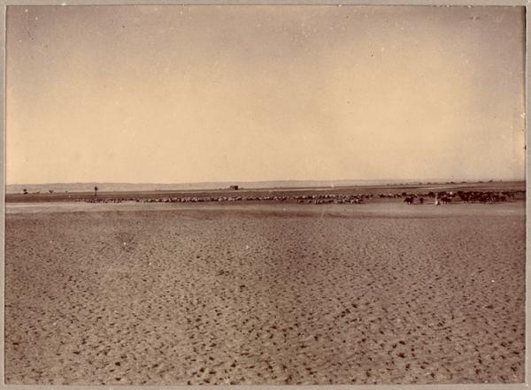 [Hamada] (Photo rare)