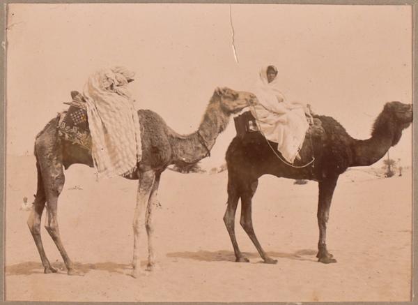 A la Ziara de Mimoun. Bouda. [autre légende au dos du cliché] : Fathma et une de ses amies (femme de mon officier) se rendant à la fête locale. (Photo rare)