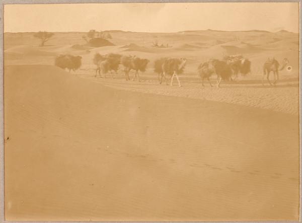 Convoi de drims (Photo rare)