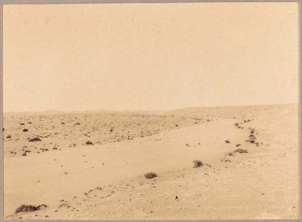 L'Oued Mya (Photo rare)