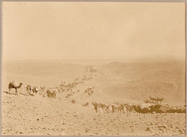 Convoi dans le Djebel [Mission Flamand?] (Photo rare)