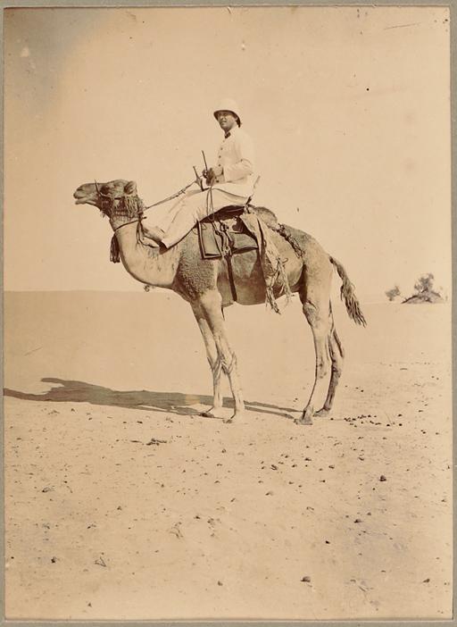 A méhari [officier monté sur dromadaire] (Photo rare)