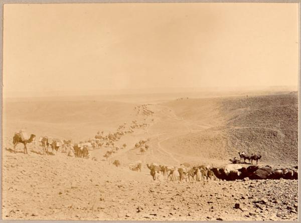 Un convoi de marche dans le Djebel [Mission Flamand ?] (Photo rare)