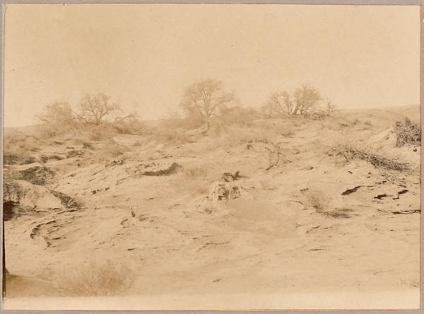 Un coin de l'Oued-Mya (Photo rare)