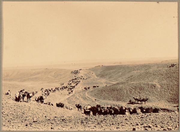 [Convoi de la mission Flamand-Pein?] (Photo rare)