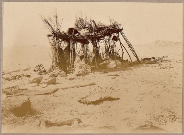 Campement de méharistes (Photo rare)