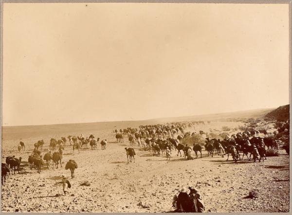 La sortie du Djebel (Photo rare)