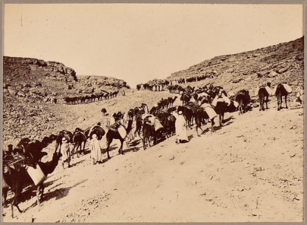 [Convoi de la mission Flamand ou de la colonne du Tidikelt?] (Photo rare)