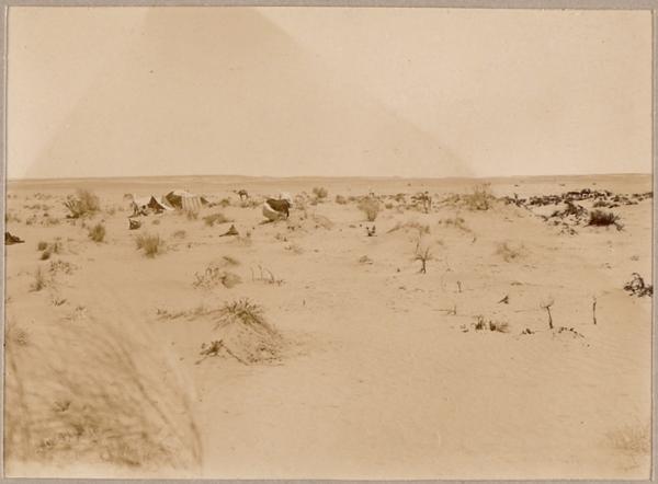 Hassi-el-Mélah près d'Aoulef (Photo rare)