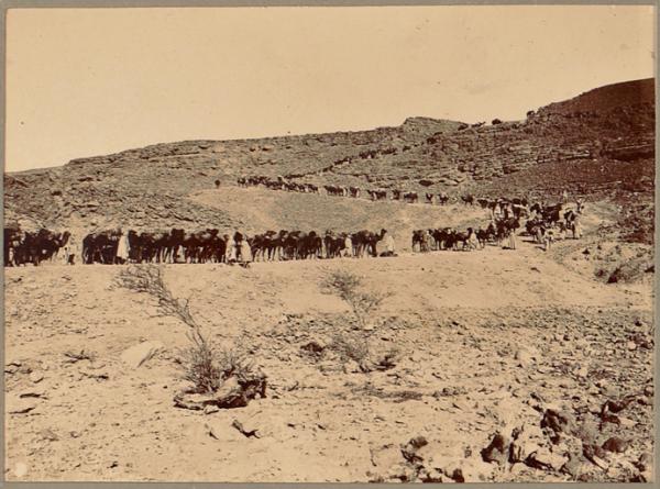 [Convoi de la mission Flamand-Pein?] (Photo rare)