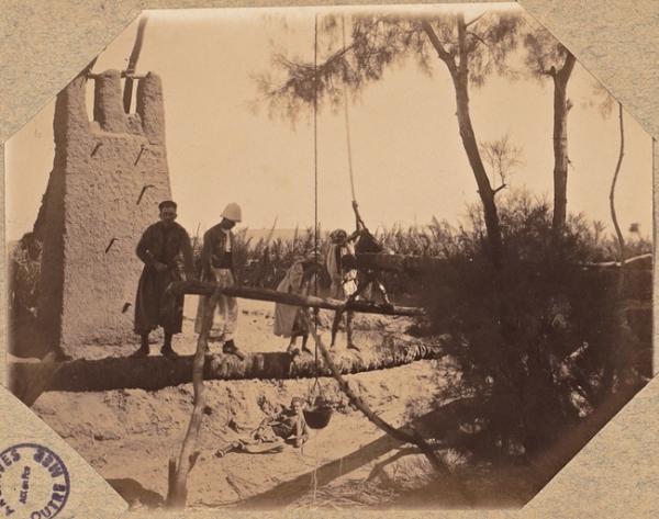 Béni-Abbès 1902. L'arrosage des jardins avec les puits (Photo rare)