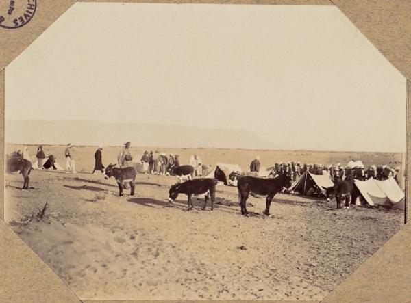 Hassi El Mir. Les bourricos seront conduits avant la nuit au poste de police (Photo rare)