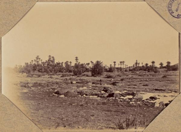 L'oasis de Fendi (Photo rare)