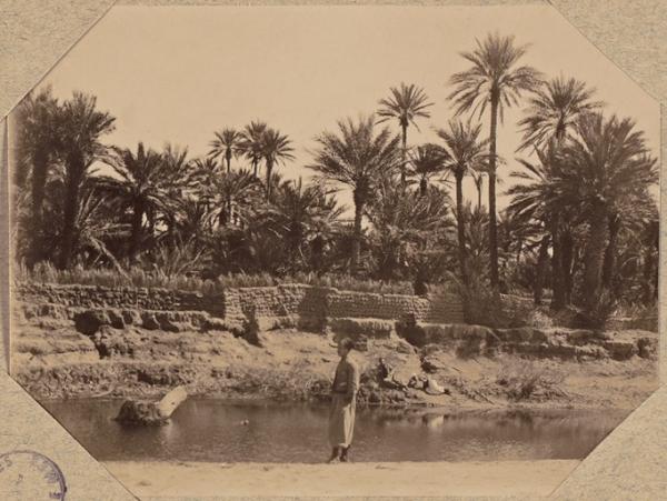 Béni-Abbès 1902. Un coin de l'oued Saoura et de la palmeraie (Photo rare)