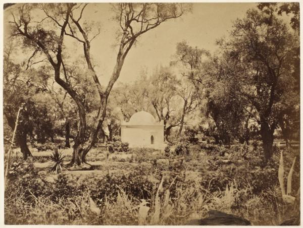 Bois sacré près Blidah (Photo rare)