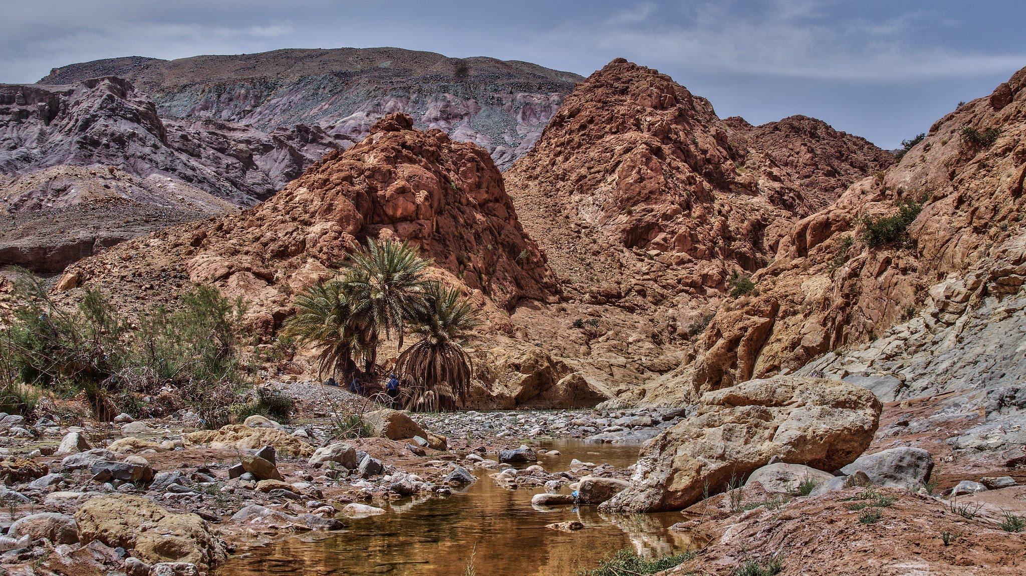 Lac de Aïn Ouarka... !