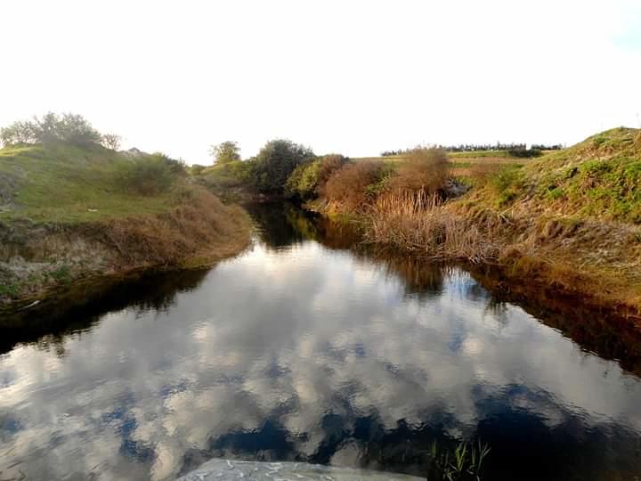la zone humide de Guerbes Sanhadja