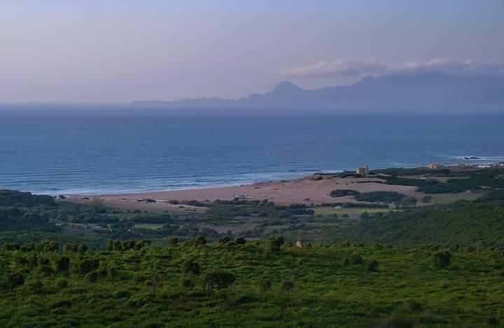 la zone humide de Guerbes Sanhadja